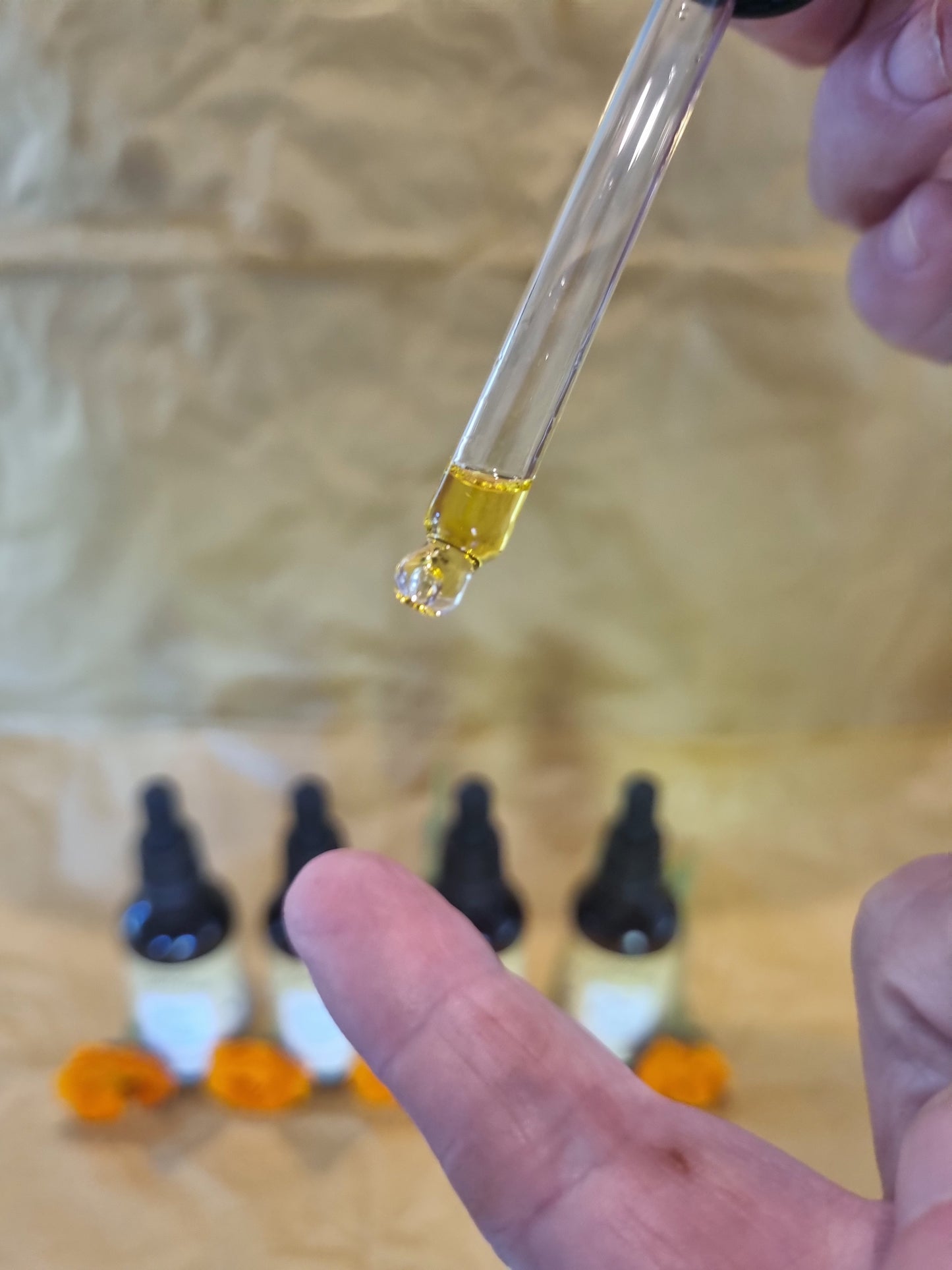 Calendula Infused Oil